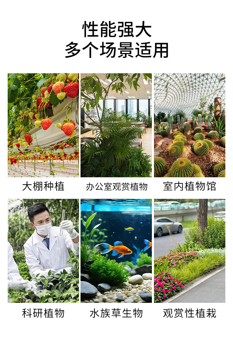 详情页_03.jpg